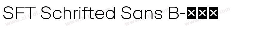 SFT Schrifted Sans B字体转换